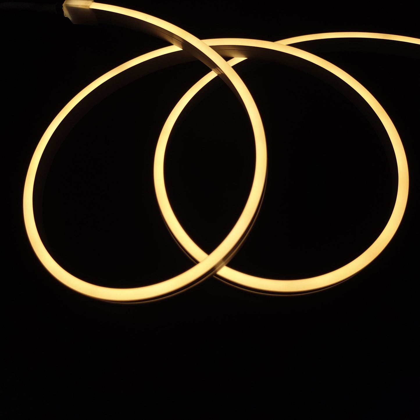 NEON FLEX LED traka snage 9W/m, 24V, 3000K, IP65 image 2